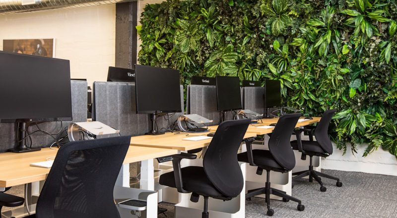 How plants create a positive office buzz