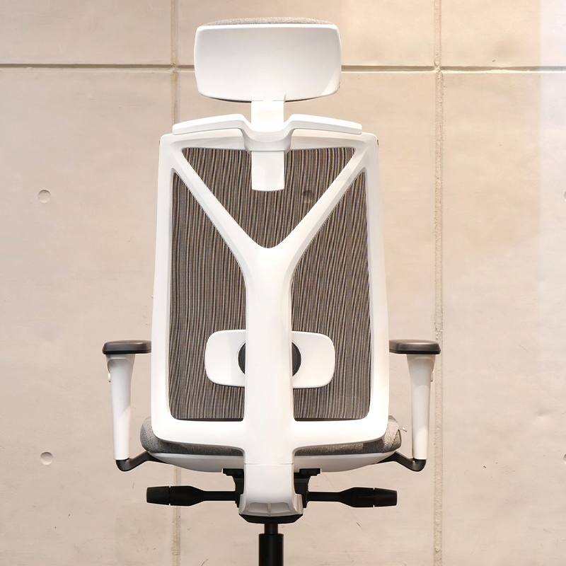 Modena mesh back office task chair, back, white