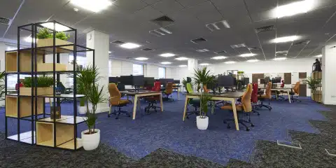 A modern office with a Scandinavian design. Natural light fills the space, which features a long wooden table, colorful ergonomic chairs, and walls accented with corporate blue and green.