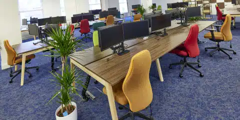 An office space with a "Scandi" aesthetic, featuring a wooden bench desks, colorful ergonomic chairs and green plants.