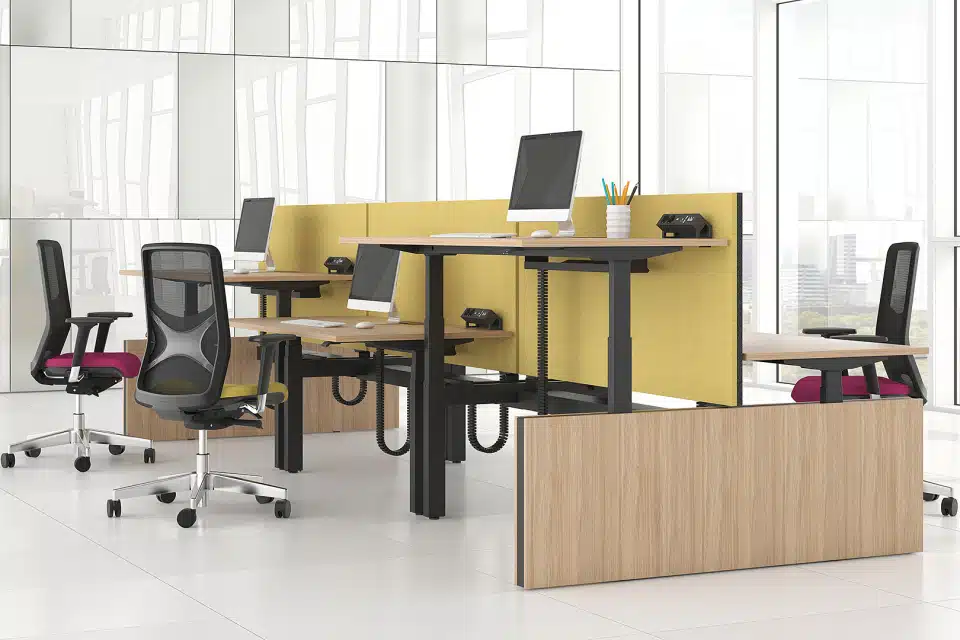 A sit stand wood desk with computers and chairs in the office., with yellow acoustic panels.