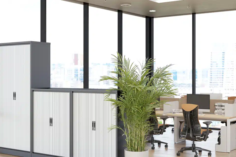 Steel storage tambours in a spacious and light office.