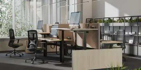 A sit stand brown wood desk with computers and chairs in an office.