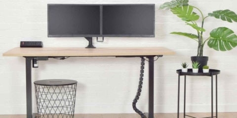 A modern white sit-stand desk in a home office featuring a dual-monitor setup, a small side table, and a large indoor potted plant.