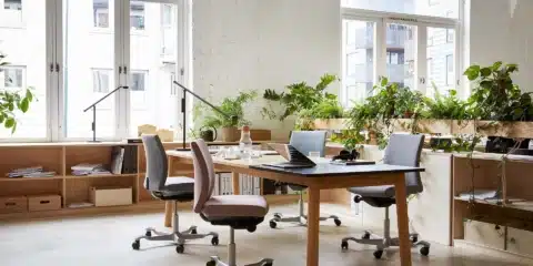 Multiple HÅG Creed ergonomic task chairs (pink and grey) surrounding a collaborative wooden workspace filled with plants.