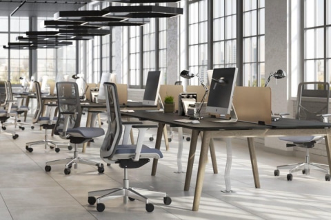 An open plan room with a row of bench desks and ergonomic task mech chairs.