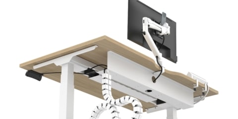 White adjustable standing desk with wood top and cable spine.