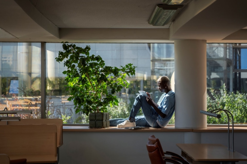 A person sits on a wide windowsill in a sunlit library, leaning against a pillar while writing in a notebook.