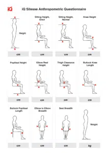 Sitesse Ergonomic Chair Lifestyle Questionnaire.