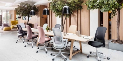 A variety of HÅG SoFi ergonomic chairs in pastel pink, grey, and black arranged around a long wooden communal table in a bright office with indoor trees and wood-slat walls.