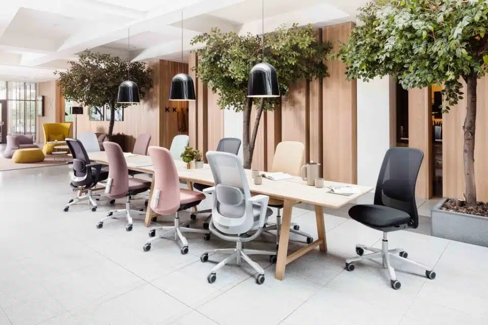 A variety of HÅG SoFi ergonomic chairs in pastel pink, grey, and black arranged around a long wooden communal table in a bright office with indoor trees and wood-slat walls.