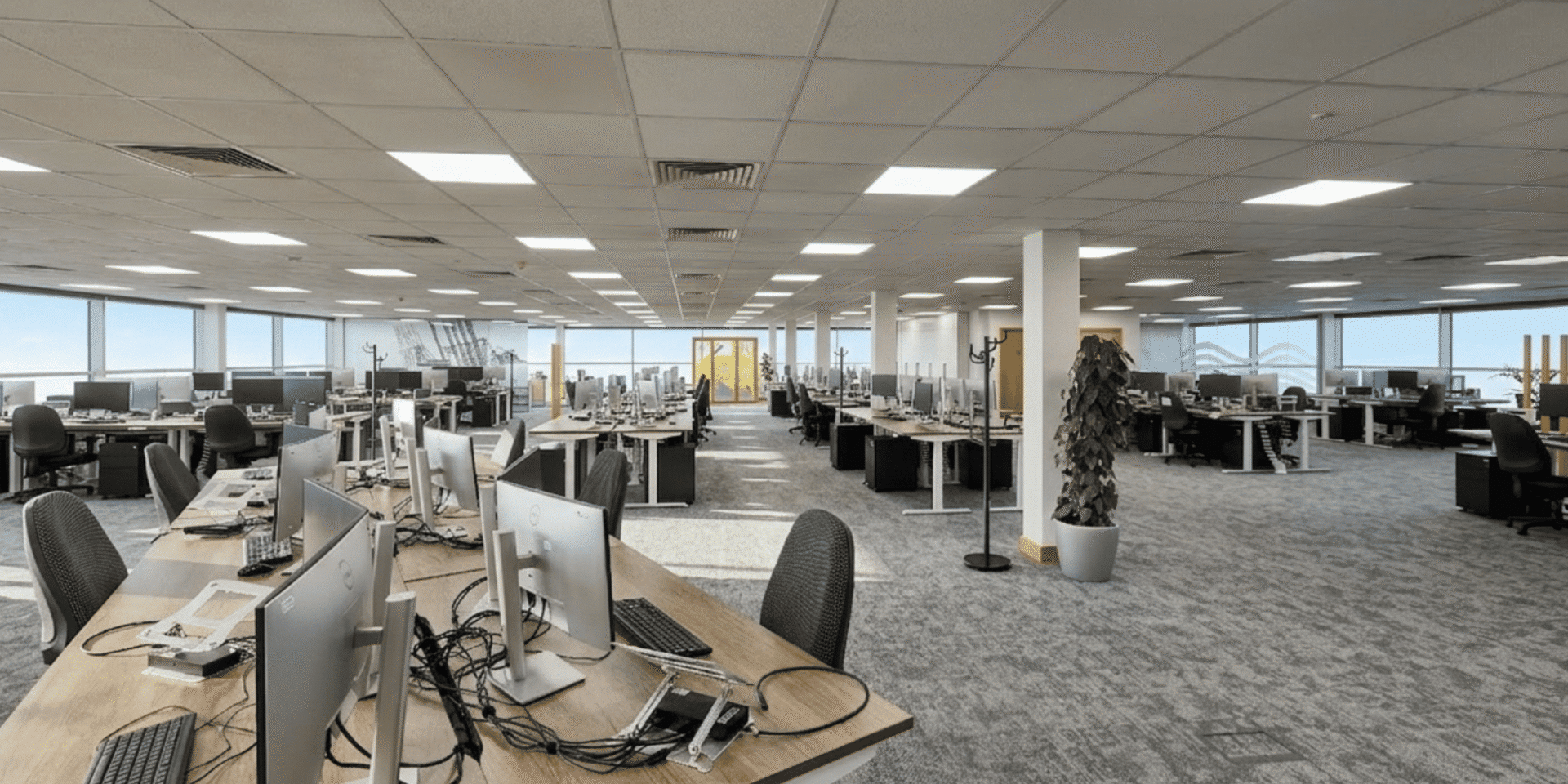 Refurbished open-plan office at MSC Ipswich featuring Imperial sit-stand desks, ergonomic seating, and a bespoke wood-panelled wall.